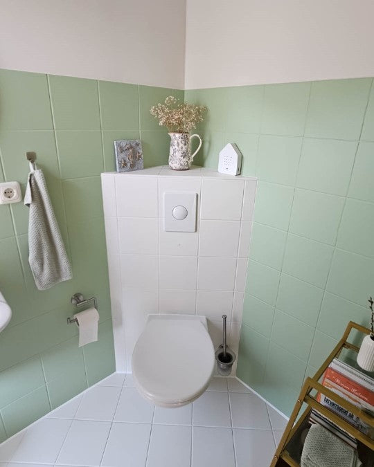 Badezimmer Fliesen im Farbton Aloe gestrichen.